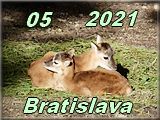 Ba 05-2021